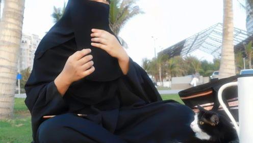 吃瓜娱乐君被告,揭秘娱乐圈背后的法律风云